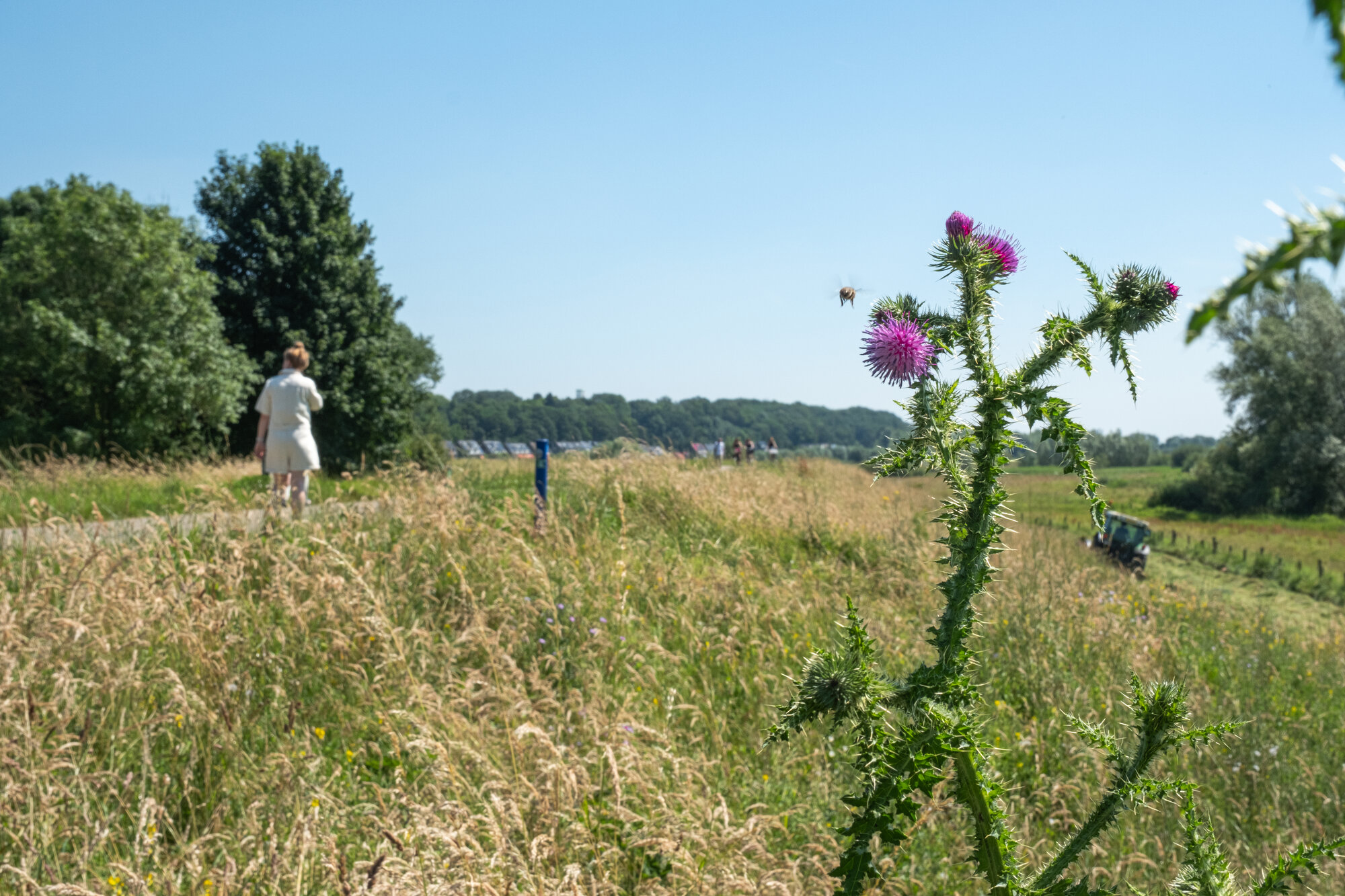 Vrouw loopt over Grebbedijk